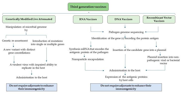 https://cdn.ncbi.nlm.nih.gov/pmc/blobs/4c96/10893217/2d2fb0a2ebfc/vaccines-12-00134-g004.jpg