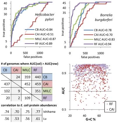 https://cdn.ncbi.nlm.nih.gov/pmc/blobs/4c96/2891978/b7652fed03a6/pgen.1001004.g001.jpg