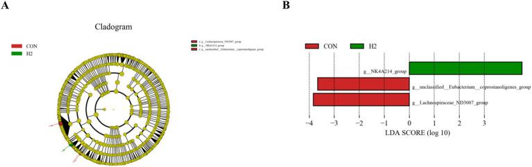 https://cdn.ncbi.nlm.nih.gov/pmc/blobs/4c98/12012471/1d341a5c3227/fmicb-16-1556724-g004.jpg