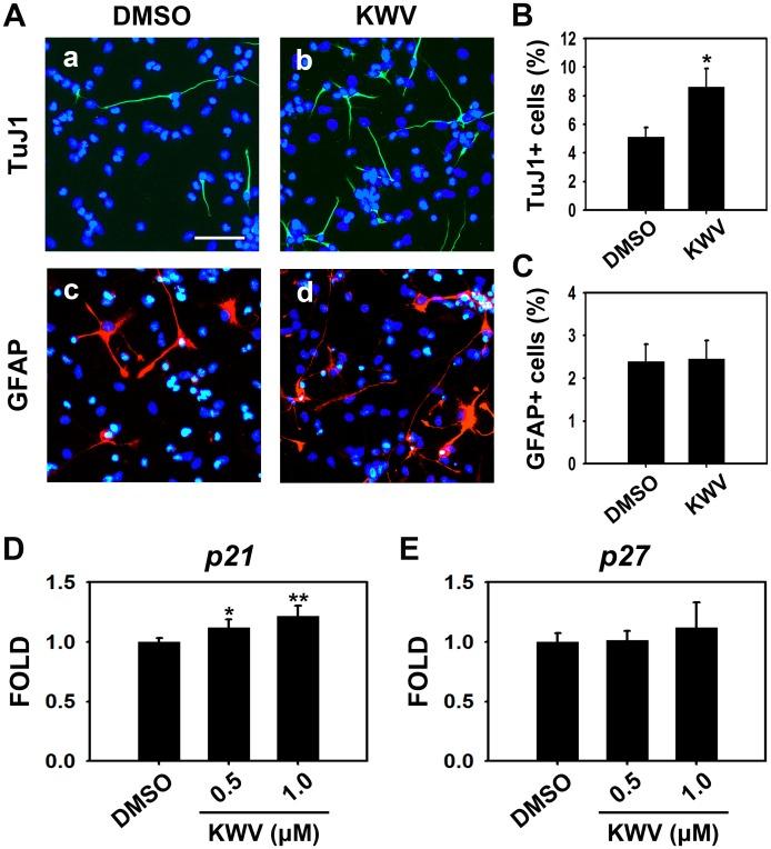 https://cdn.ncbi.nlm.nih.gov/pmc/blobs/4c98/4338147/68e2e450b4cc/pone.0118188.g002.jpg