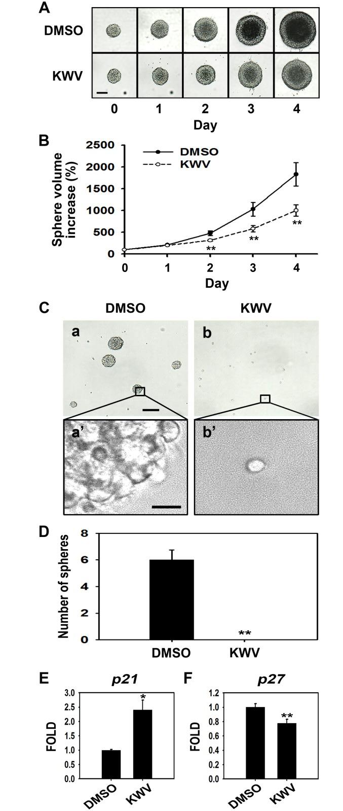 https://cdn.ncbi.nlm.nih.gov/pmc/blobs/4c98/4338147/83b602877883/pone.0118188.g005.jpg