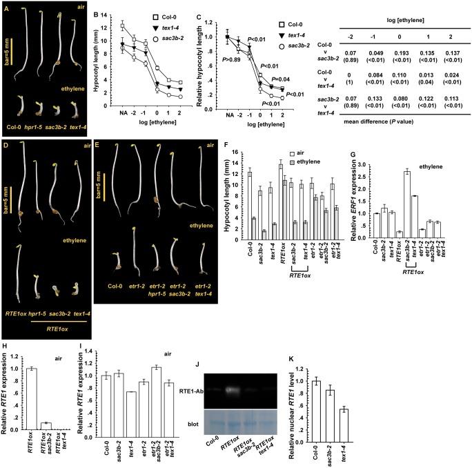 https://cdn.ncbi.nlm.nih.gov/pmc/blobs/4c99/4334170/4bbe81119e49/pgen.1004956.g008.jpg