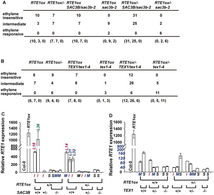 https://cdn.ncbi.nlm.nih.gov/pmc/blobs/4c99/4334170/b228ea8ec3bf/pgen.1004956.g009.jpg