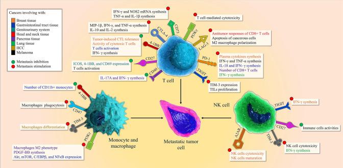 https://cdn.ncbi.nlm.nih.gov/pmc/blobs/4c9d/10991201/fdb4f99e0579/262_2020_2717_Fig1_HTML.jpg