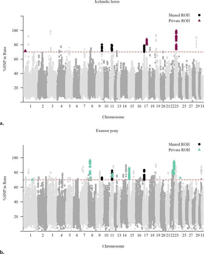 https://cdn.ncbi.nlm.nih.gov/pmc/blobs/4c9d/11308356/b818079e6b84/12864_2024_10682_Fig5_HTML.jpg