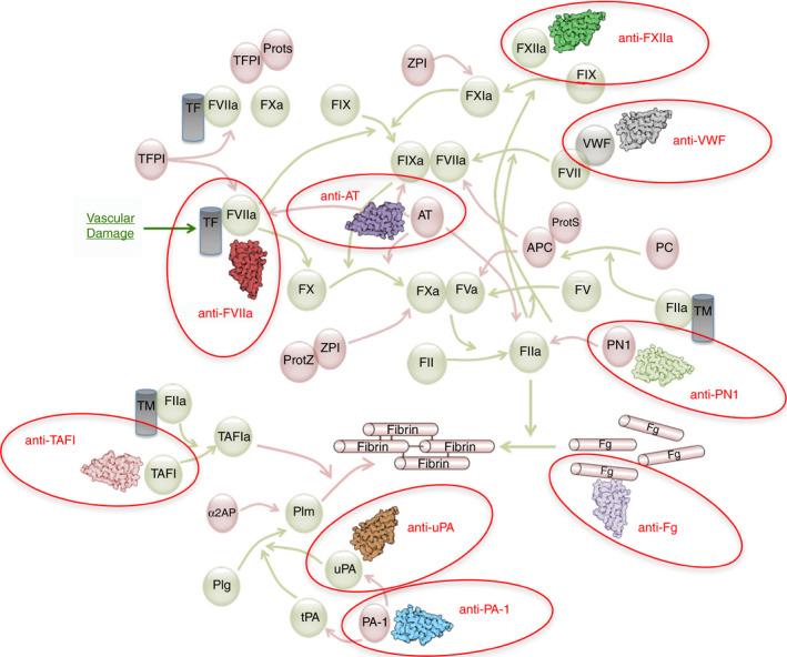 https://cdn.ncbi.nlm.nih.gov/pmc/blobs/4c9d/7590285/50d426d45fcc/RTH2-4-1087-g003.jpg