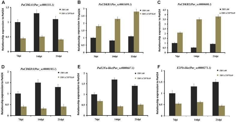 https://cdn.ncbi.nlm.nih.gov/pmc/blobs/4c9e/5723407/b104a19dd5c6/fpls-08-02076-g006.jpg