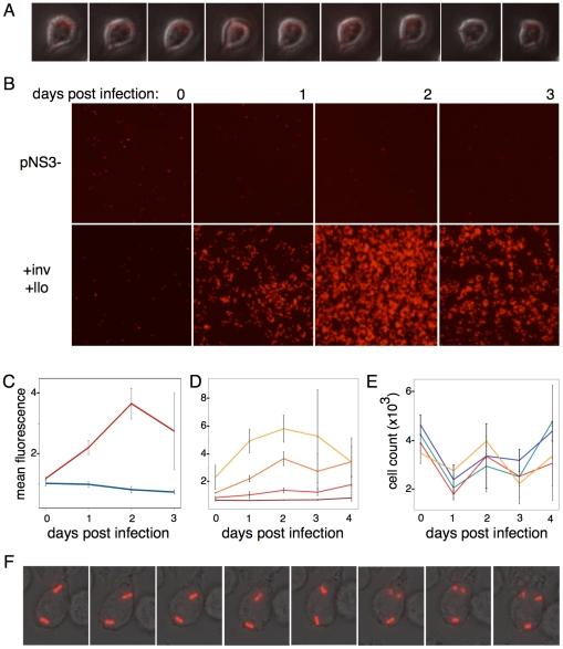 https://cdn.ncbi.nlm.nih.gov/pmc/blobs/4ca0/3080389/b7c58a1409d6/pone.0018877.g006.jpg