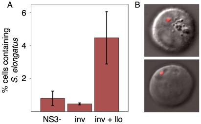 https://cdn.ncbi.nlm.nih.gov/pmc/blobs/4ca0/3080389/c639beba646c/pone.0018877.g004.jpg