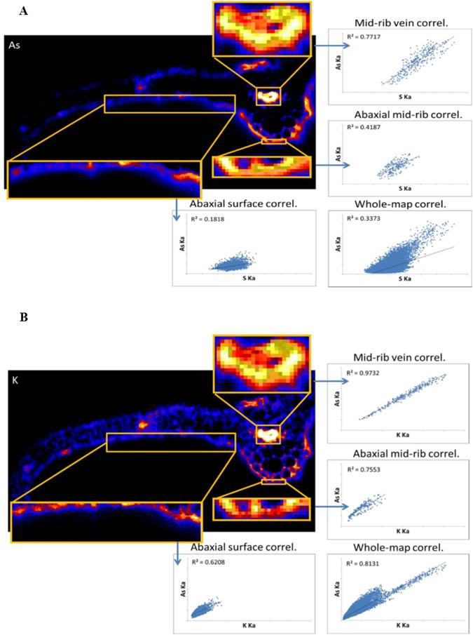 https://cdn.ncbi.nlm.nih.gov/pmc/blobs/4ca1/5460129/81a25fa7e4b3/41598_2017_3194_Fig5_HTML.jpg
