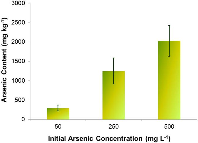 https://cdn.ncbi.nlm.nih.gov/pmc/blobs/4ca1/5460129/f217cab6e4cb/41598_2017_3194_Fig1_HTML.jpg