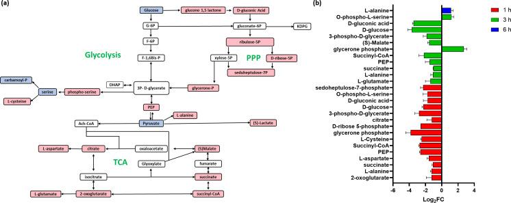 https://cdn.ncbi.nlm.nih.gov/pmc/blobs/4ca2/11097639/3ada921566fb/msystems.00093-24.f005.jpg