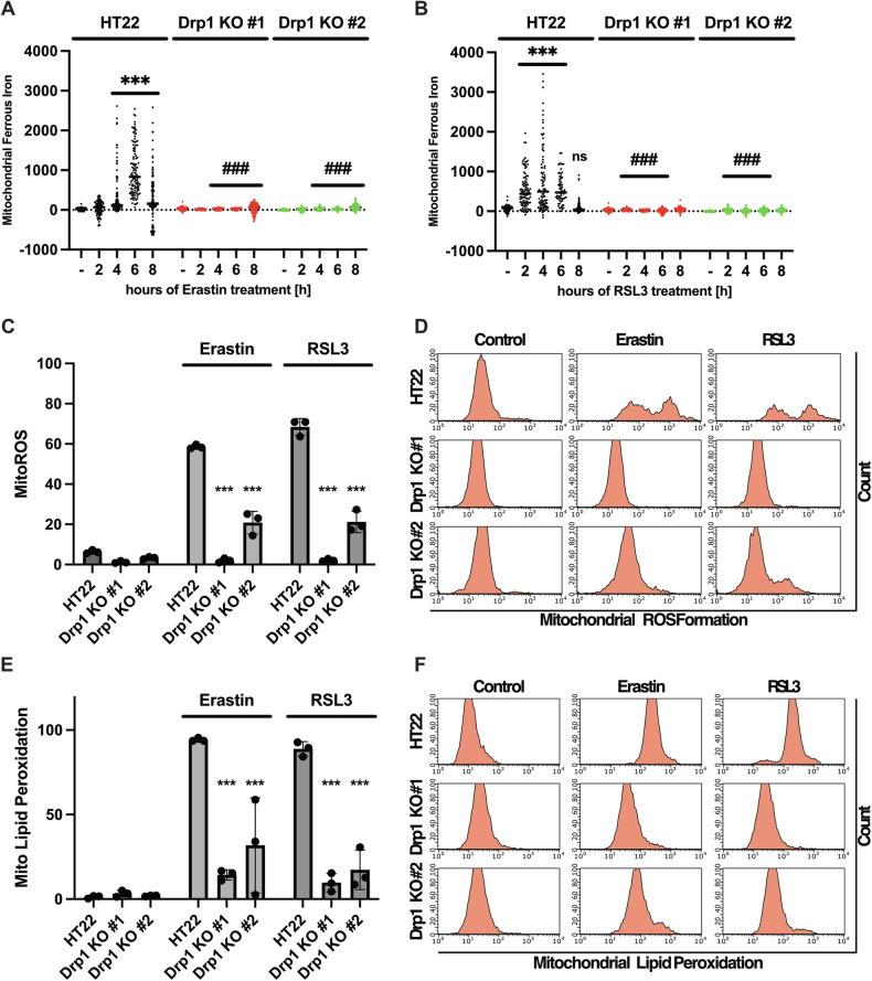 https://cdn.ncbi.nlm.nih.gov/pmc/blobs/4ca4/11350090/2bea27189d6a/41419_2024_7015_Fig2_HTML.jpg
