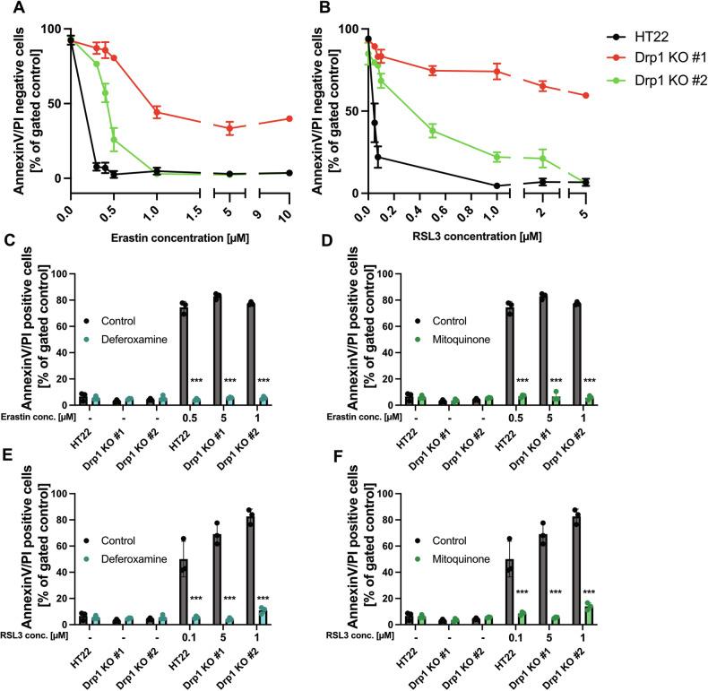https://cdn.ncbi.nlm.nih.gov/pmc/blobs/4ca4/11350090/af751366e8e0/41419_2024_7015_Fig6_HTML.jpg