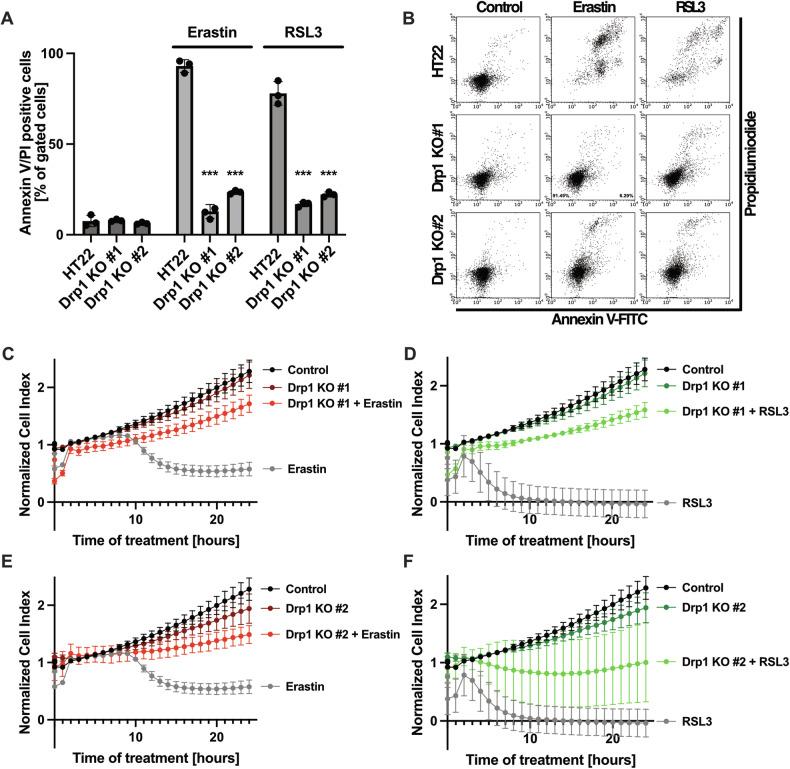 https://cdn.ncbi.nlm.nih.gov/pmc/blobs/4ca4/11350090/f87930412121/41419_2024_7015_Fig5_HTML.jpg