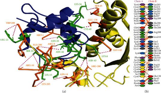 https://cdn.ncbi.nlm.nih.gov/pmc/blobs/4ca6/8960006/577e668d10e3/BMRI2022-1077814.004.jpg