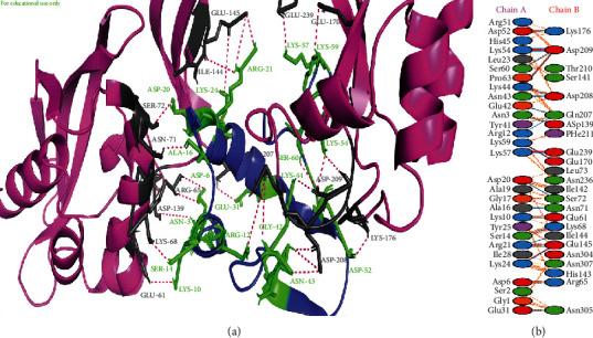 https://cdn.ncbi.nlm.nih.gov/pmc/blobs/4ca6/8960006/cbc2ffef2399/BMRI2022-1077814.005.jpg