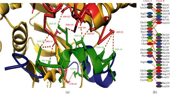 https://cdn.ncbi.nlm.nih.gov/pmc/blobs/4ca6/8960006/fb7a19379335/BMRI2022-1077814.002.jpg