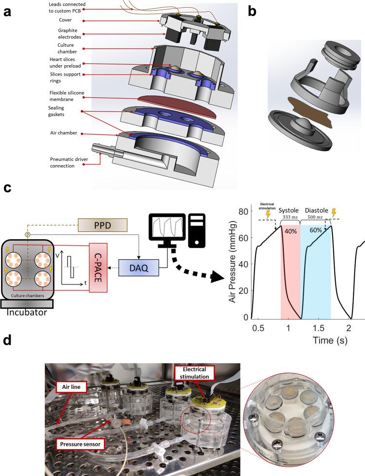 https://cdn.ncbi.nlm.nih.gov/pmc/blobs/4ca6/9463130/425b18bdcf2b/42003_2022_3919_Fig1_HTML.jpg