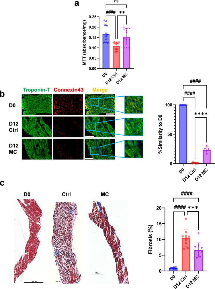 https://cdn.ncbi.nlm.nih.gov/pmc/blobs/4ca6/9463130/4d73a07428f7/42003_2022_3919_Fig3_HTML.jpg