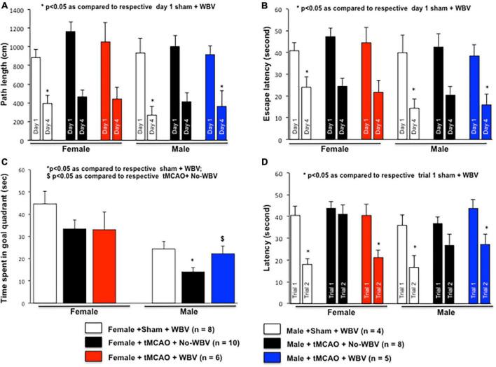 https://cdn.ncbi.nlm.nih.gov/pmc/blobs/4ca7/9428155/84c2e3d522ca/fnagi-14-942717-g003.jpg