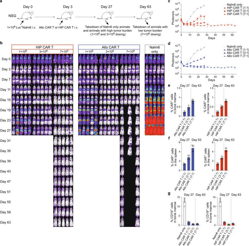 https://cdn.ncbi.nlm.nih.gov/pmc/blobs/4ca8/10086027/2b237266d670/41467_2023_37785_Fig2_HTML.jpg