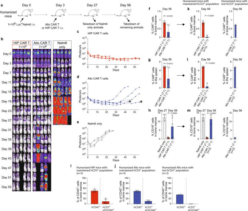 https://cdn.ncbi.nlm.nih.gov/pmc/blobs/4ca8/10086027/432deafa2a96/41467_2023_37785_Fig7_HTML.jpg