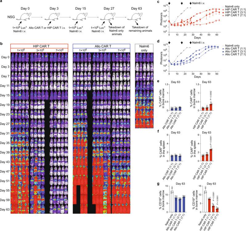https://cdn.ncbi.nlm.nih.gov/pmc/blobs/4ca8/10086027/c7a5b97f2dcf/41467_2023_37785_Fig4_HTML.jpg