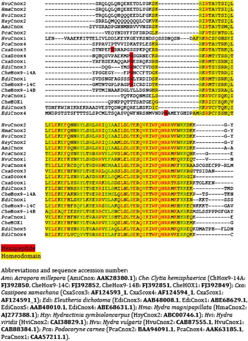 https://cdn.ncbi.nlm.nih.gov/pmc/blobs/4ca8/3957477/f0c6b0a98496/elife01939fs014.jpg