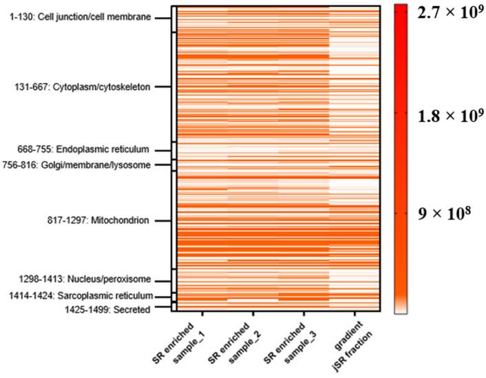 https://cdn.ncbi.nlm.nih.gov/pmc/blobs/4ca9/12429420/1144e36d68c5/ijms-26-08602-g007.jpg