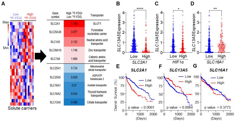 https://cdn.ncbi.nlm.nih.gov/pmc/blobs/4caa/9315704/afff5d12d5d6/cancers-14-03355-g001.jpg
