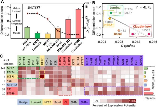 https://cdn.ncbi.nlm.nih.gov/pmc/blobs/4cab/6399327/64aec2bac24e/41598_2018_37625_Fig2_HTML.jpg
