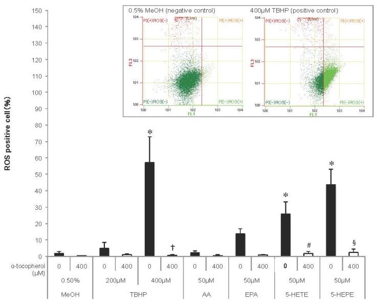 https://cdn.ncbi.nlm.nih.gov/pmc/blobs/4cac/5622761/139799d6dcbd/nutrients-09-01001-g002.jpg