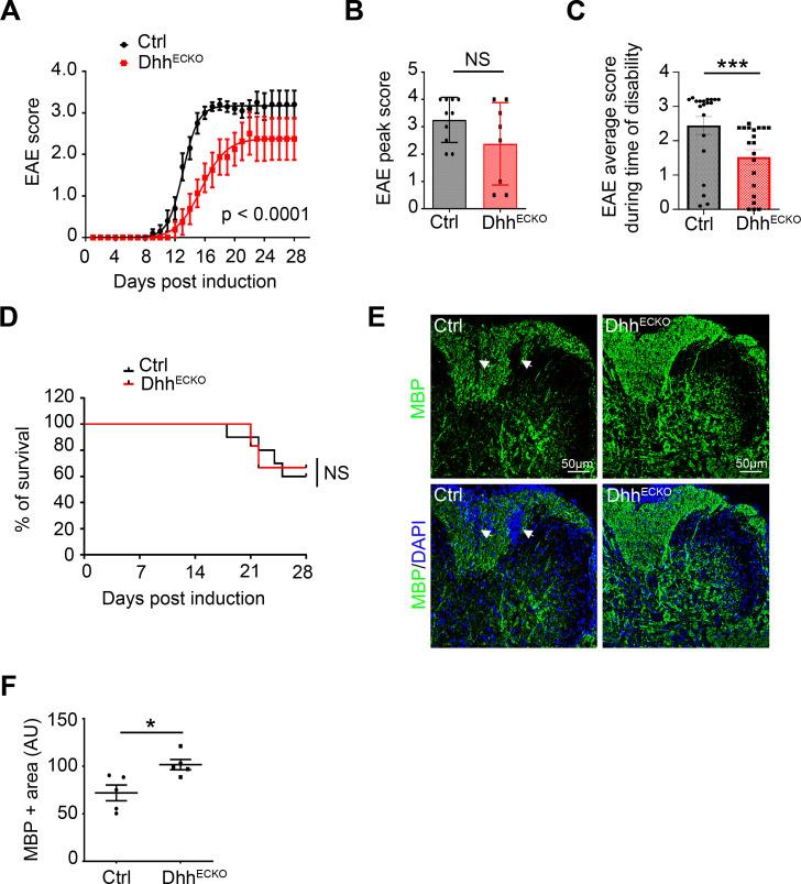 https://cdn.ncbi.nlm.nih.gov/pmc/blobs/4cac/7728400/07ff73f173b0/pbio.3000946.g006.jpg