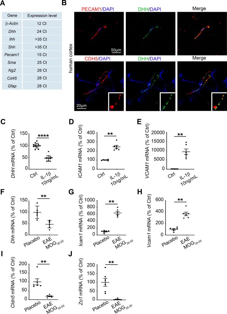 https://cdn.ncbi.nlm.nih.gov/pmc/blobs/4cac/7728400/5e9cc04c4381/pbio.3000946.g001.jpg