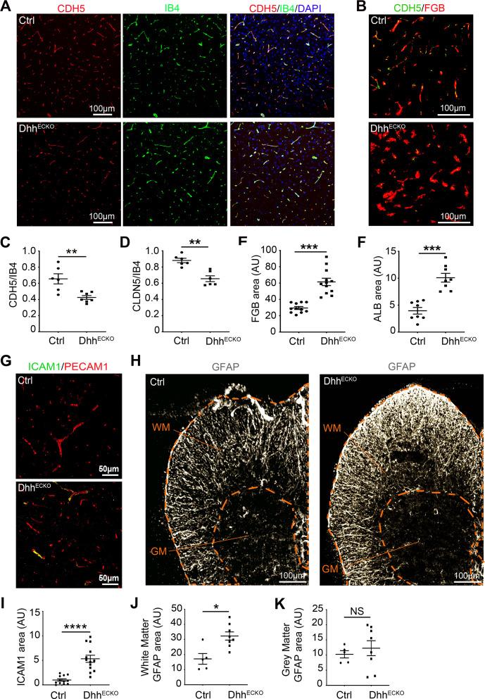 https://cdn.ncbi.nlm.nih.gov/pmc/blobs/4cac/7728400/7d32744cfd90/pbio.3000946.g003.jpg