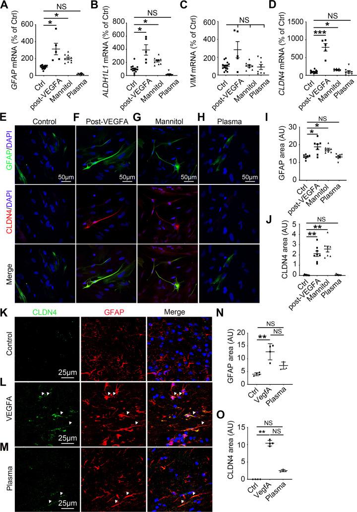 https://cdn.ncbi.nlm.nih.gov/pmc/blobs/4cac/7728400/fda682ea418f/pbio.3000946.g005.jpg