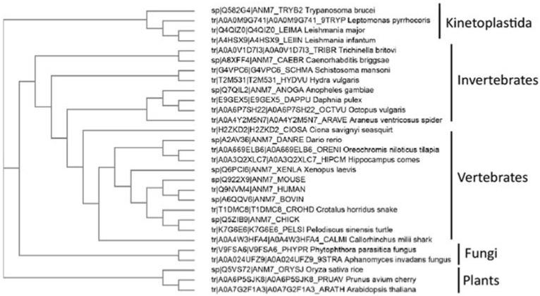 https://cdn.ncbi.nlm.nih.gov/pmc/blobs/4cac/8399567/ea21ebc03afd/life-11-00768-g002.jpg