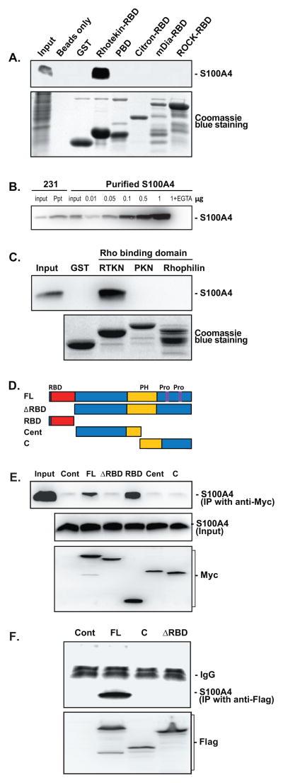 https://cdn.ncbi.nlm.nih.gov/pmc/blobs/4caf/3525797/d23ed6fcca5d/nihms393885f1.jpg