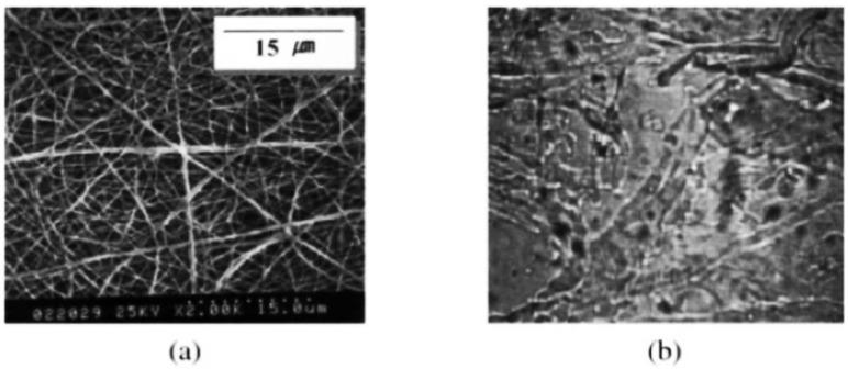 https://cdn.ncbi.nlm.nih.gov/pmc/blobs/4cb1/6163915/20fa85f9009e/bioengineering-05-00051-g002.jpg