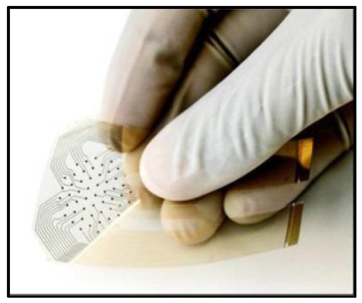 https://cdn.ncbi.nlm.nih.gov/pmc/blobs/4cb1/6163915/4185e76c0428/bioengineering-05-00051-g005.jpg