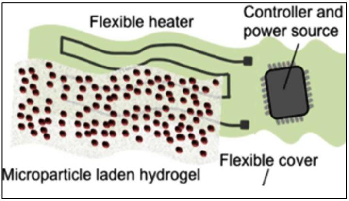 https://cdn.ncbi.nlm.nih.gov/pmc/blobs/4cb1/6163915/b306caf0c75e/bioengineering-05-00051-g003.jpg