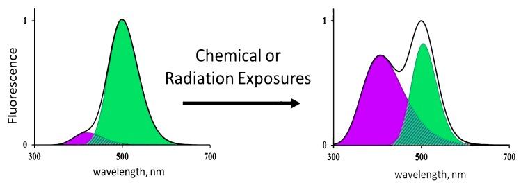 https://cdn.ncbi.nlm.nih.gov/pmc/blobs/4cb1/6770735/30288230415f/ijms-20-04451-g003.jpg