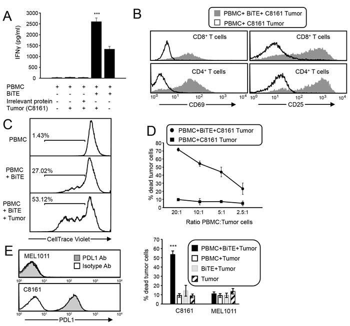 https://cdn.ncbi.nlm.nih.gov/pmc/blobs/4cb2/5601626/369691a0c684/oncotarget-08-57964-g003.jpg