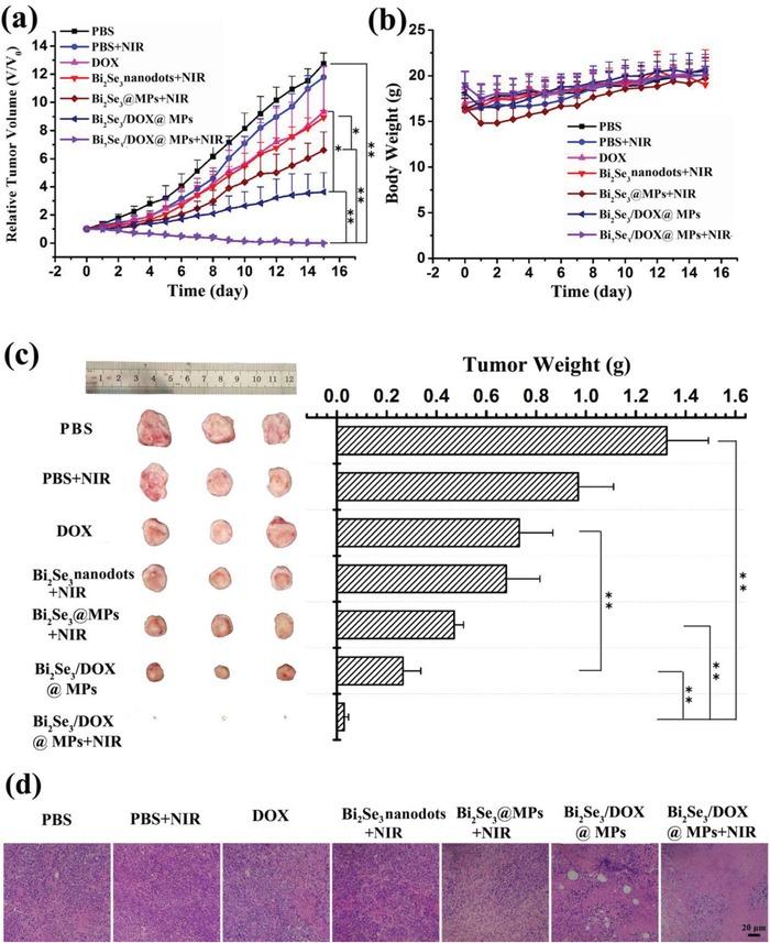 https://cdn.ncbi.nlm.nih.gov/pmc/blobs/4cb2/7001653/ad23eb0f11bf/ADVS-7-1901293-g007.jpg