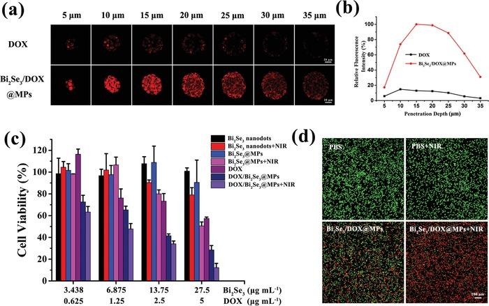 https://cdn.ncbi.nlm.nih.gov/pmc/blobs/4cb2/7001653/c22125ea2d63/ADVS-7-1901293-g004.jpg