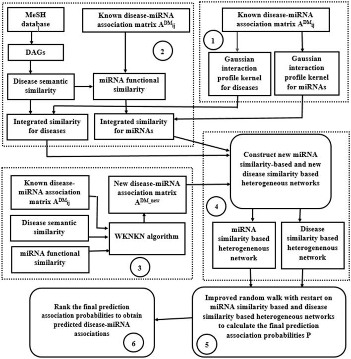 https://cdn.ncbi.nlm.nih.gov/pmc/blobs/4cb3/8548500/f98ef3be5986/41598_2021_677_Fig1_HTML.jpg