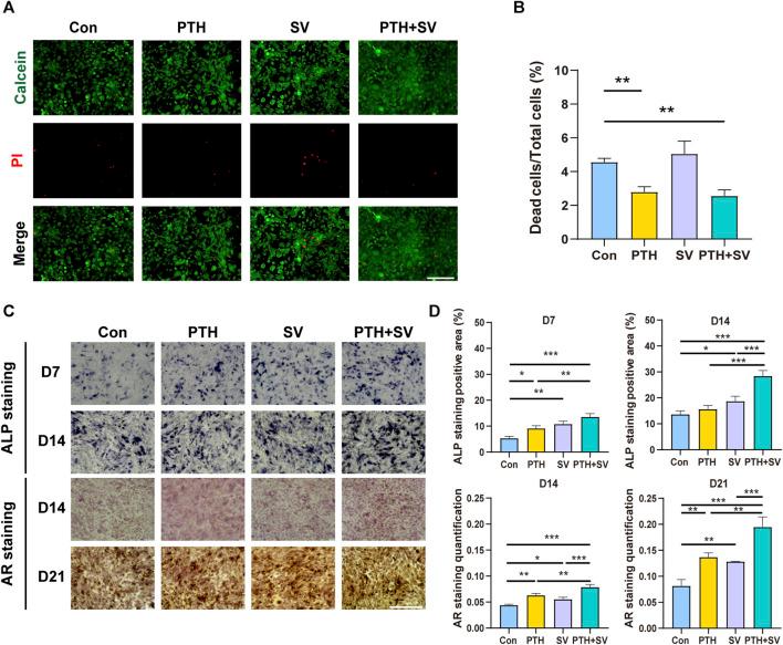 https://cdn.ncbi.nlm.nih.gov/pmc/blobs/4cb4/10865375/2df8c522132d/fbioe-12-1355019-g003.jpg