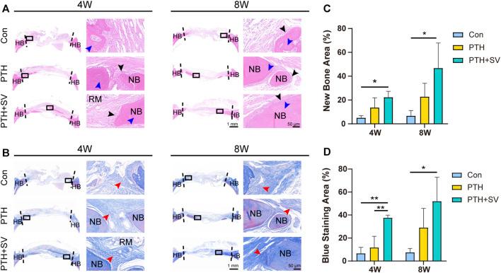 https://cdn.ncbi.nlm.nih.gov/pmc/blobs/4cb4/10865375/9a6757c56595/fbioe-12-1355019-g006.jpg