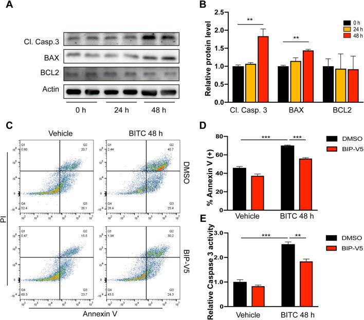 https://cdn.ncbi.nlm.nih.gov/pmc/blobs/4cb5/12081420/b1803125ef73/fphar-16-1506518-g003.jpg